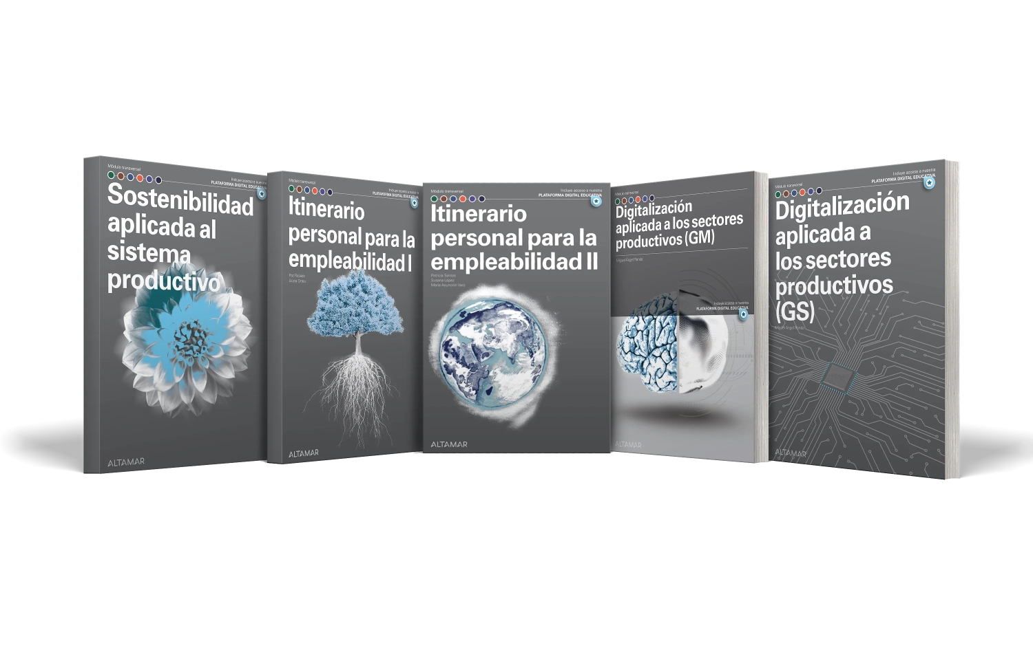 Módulos transversales para formación profesional